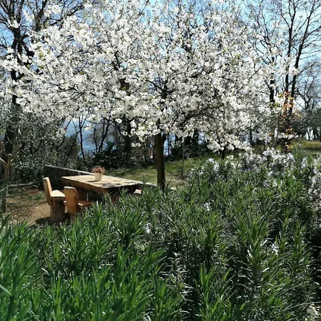 Olivetino Apartment
